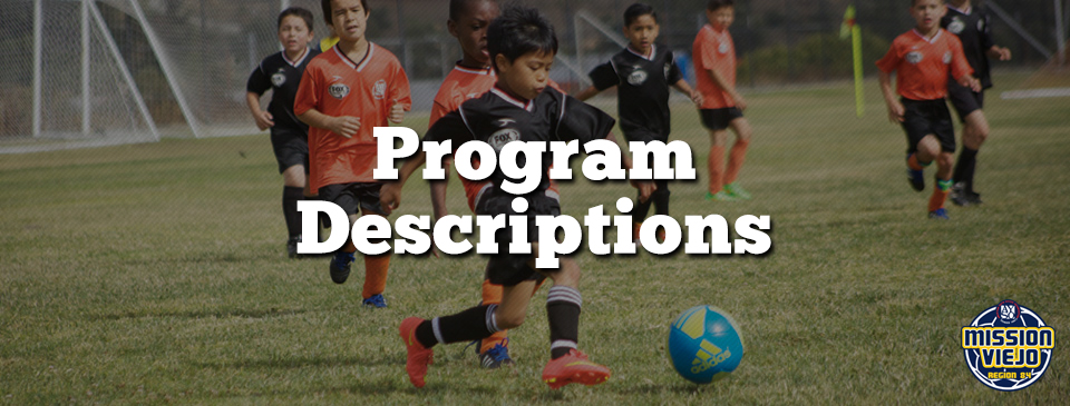 Region 84 Program Descriptions